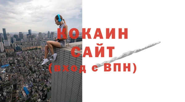 гидра Дмитров