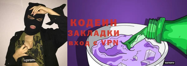 МДПВ Дмитриев