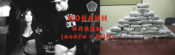 МДПВ Дмитриев