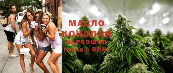 гидра Дмитров