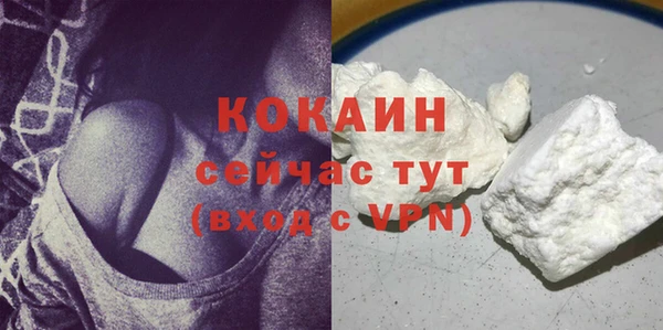 гидра Дмитров
