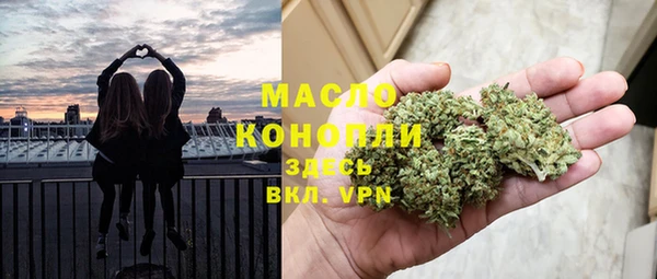 гидра Дмитров
